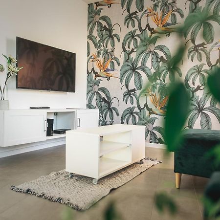 סגד Nadas Apartman מראה חיצוני תמונה